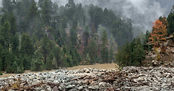 भुटानमा हिमताल विस्फोटपछि आकस्मिक बाढी, भारतका सीमावर्ती क्षेत्रमा सतर्कता भुटानमा हिमताल विस्फोटपछि आकस्मिक बाढी, भारतका सीमावर्ती क्षेत्रमा सतर्कता
